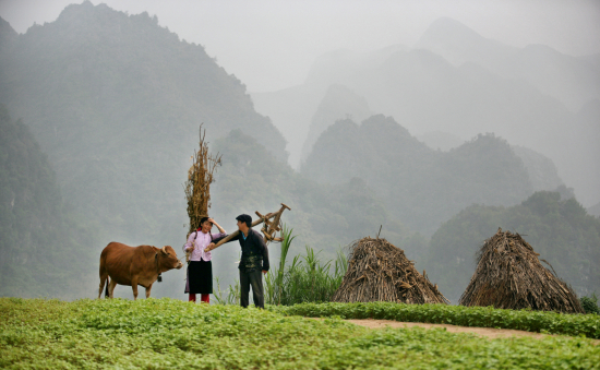 03-h-nh-phuc-nguy-n-h-u-thong