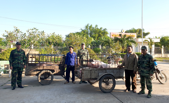 06-12-19-tang-vat-va-doi-tuong-van-chuyen-700-kg-heo-lau-anh-phu-quy