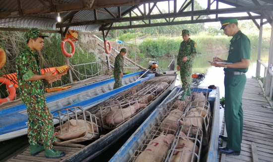 1-can-bo-chien-si-don-bp-phu-huu-kiem-tra-so-heo-vua-bat-giu-2