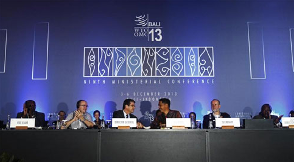 118-1.jpg