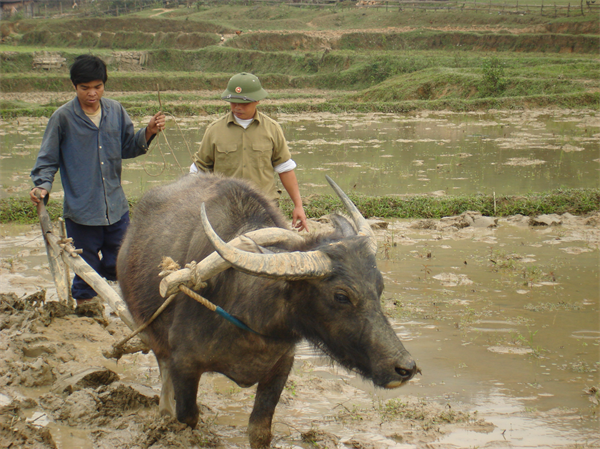 12-30-34_san-xuat-nong-nghiep.jpg