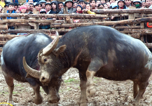 12910a.gif