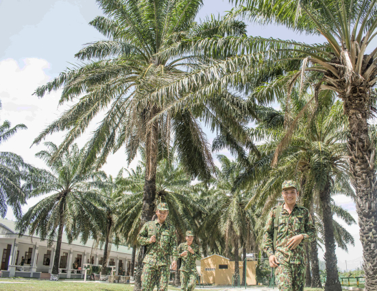 12cj_10b