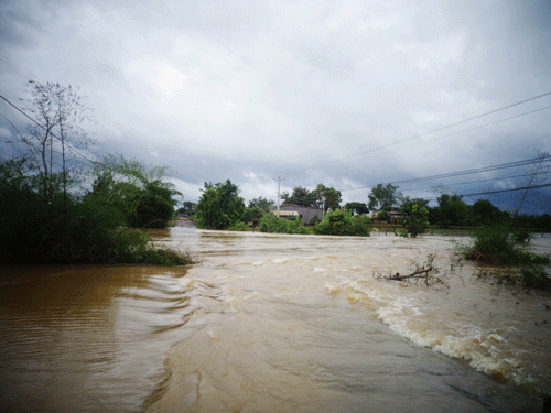 140DSC00780.gif