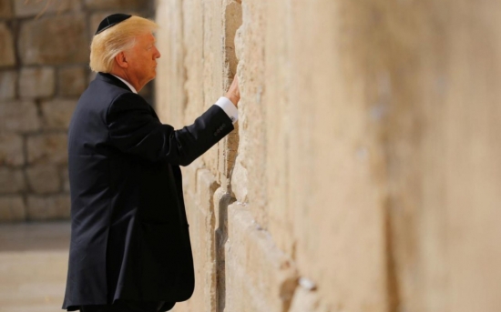 14knygtjfh-62309_1263253151763411848_anh_trump
