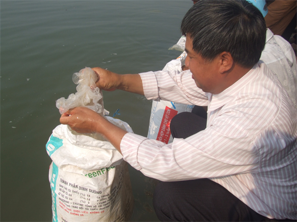 15-04-00_tha-ca-tai-tao-giong-thuy-san-1
