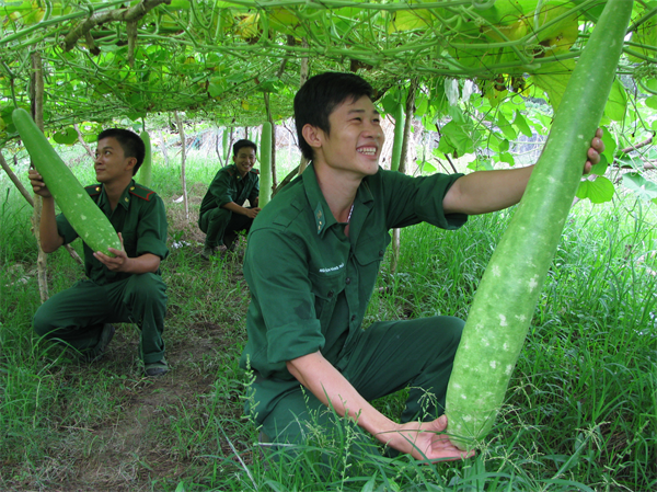 16-15-19_tang-gia-san-xuat.jpg