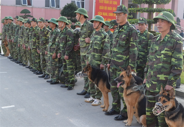 16-21-29_luc-luong-tang-cuong.jpg