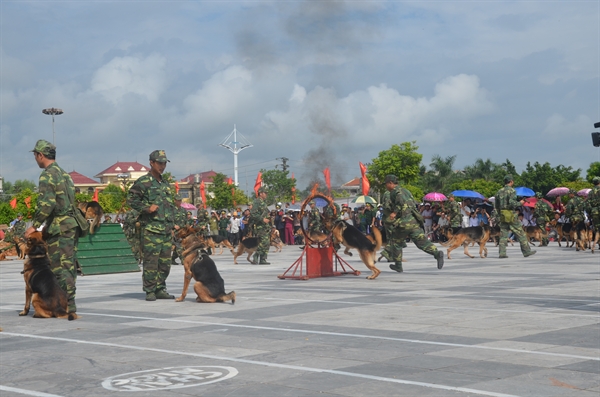 19-08-46_anh-4.jpg