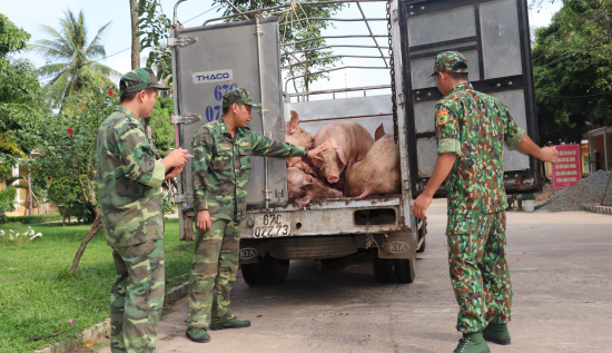 2-can-bo-chien-si-don-bpck-long-binh-kiem-tra-so-heo-vua-bat-giu