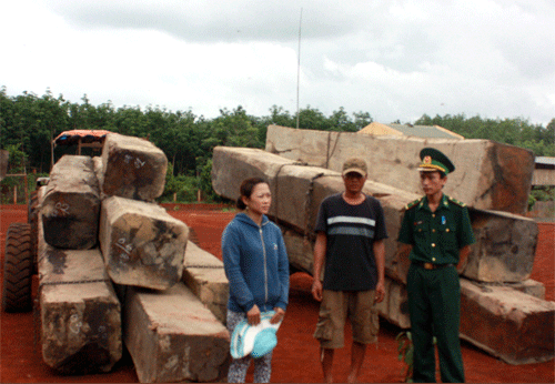 257IMG_4914.gif