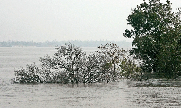 27c-1.jpg