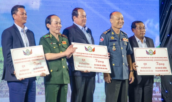 2qyx_thieu-tuong-do-danh-vuong-tang-bo