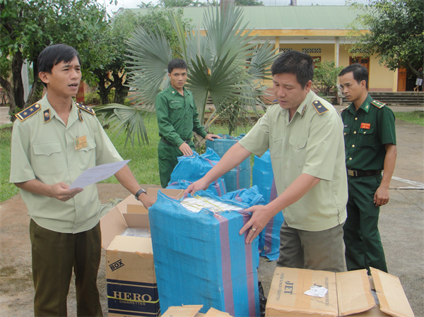 2rxw_anh-1-1.JPG