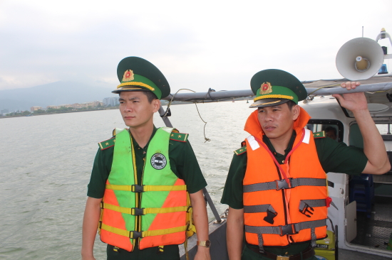 31yl_image001