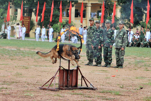 340Anh-11a.gif