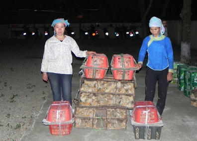 396x285_15-01-55_doi-tuong-cung-tang-vat