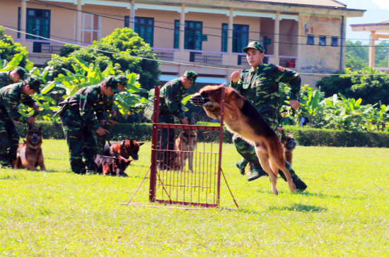 3mai_anh-5