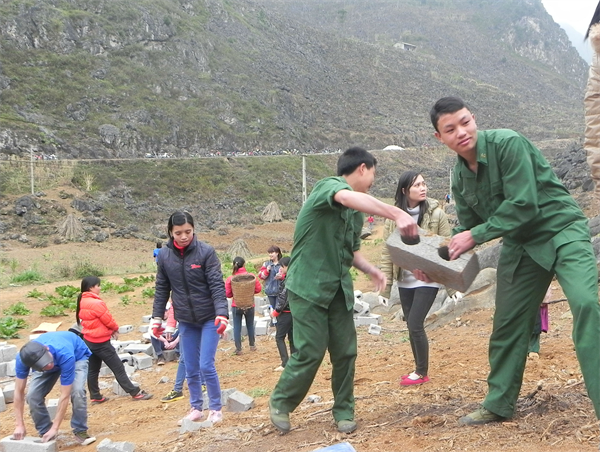 3yq8_11b-1.JPG