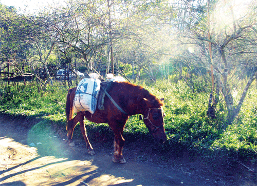 40616b.gif