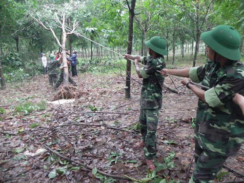 442giup-dan-tp-4.gif