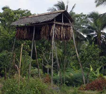 447x399_10a-1.jpg