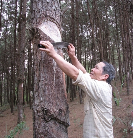 450x467_5a-1.jpg