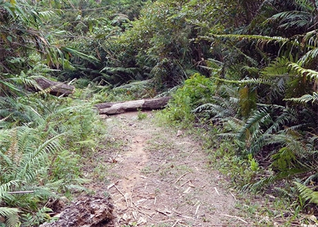 461x329_10b-1.JPG
