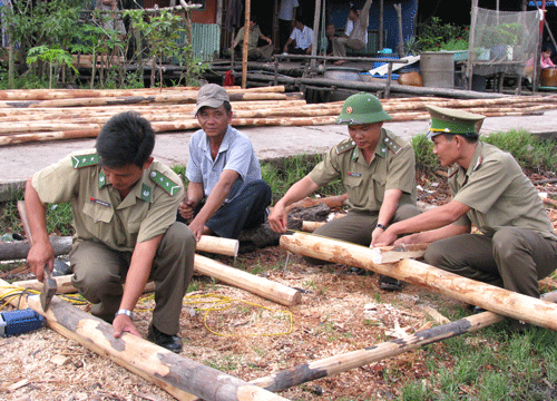 475IMG_0383.gif