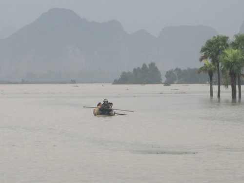542anh-3.gif