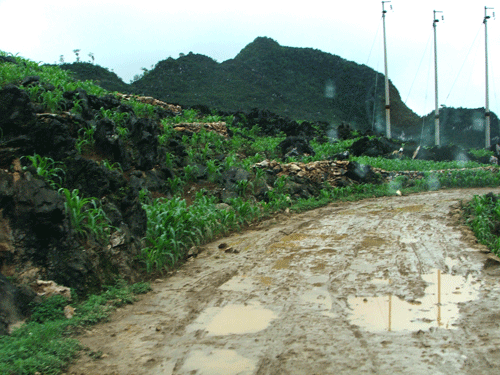 552DSCF1781.gif
