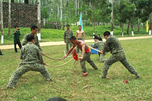 562IMG_0070.gif
