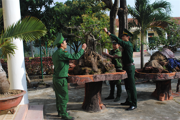5yai_10a-1.JPG