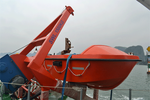 625DSC_5252.gif