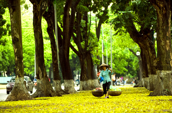 6csd_9b