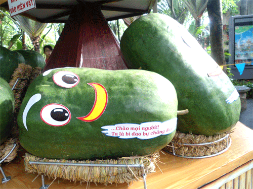 750DSC03628.gif