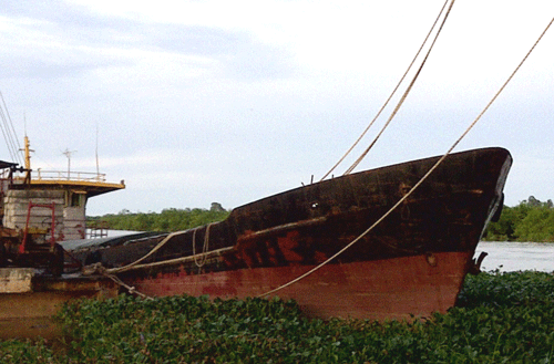 7526a.gif