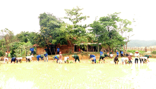 772DSC00438.gif