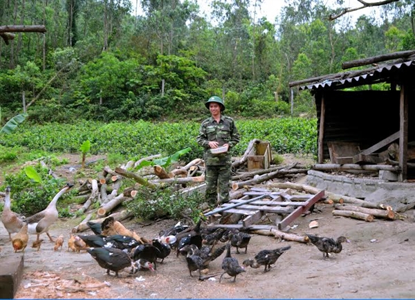 7c-1.JPG