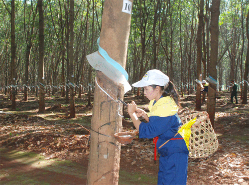 847DSC_0245aaa.gif