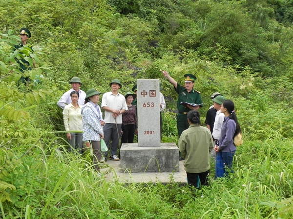 8a-1.jpg