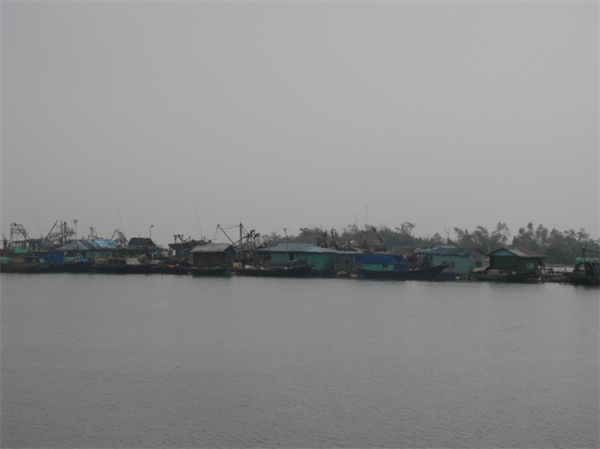 8mci_10a-1.JPG