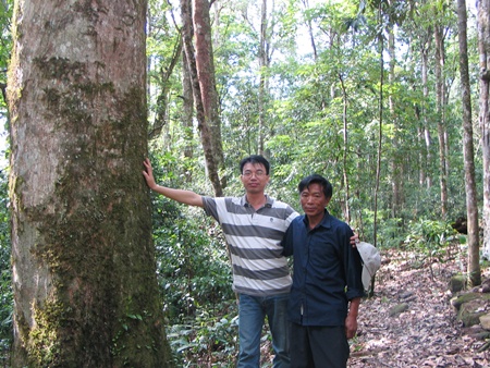 984eu.jpg