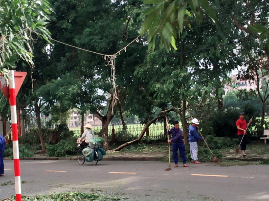 an8cqg1bmj-66777_1896163558579179661_Anh_32.