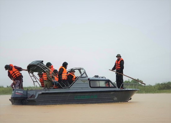 anh-7