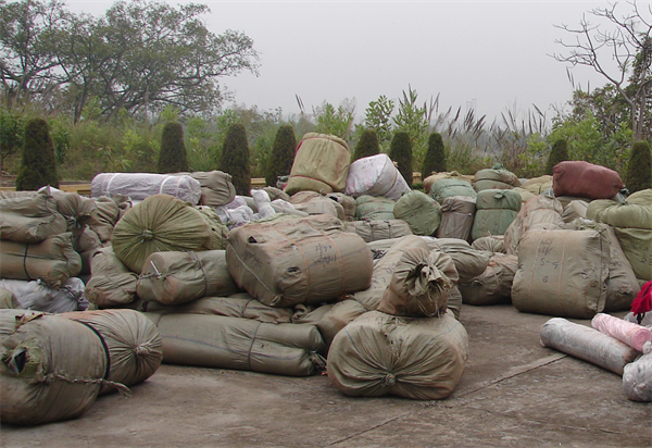 anh-tang-vat-1.jpg