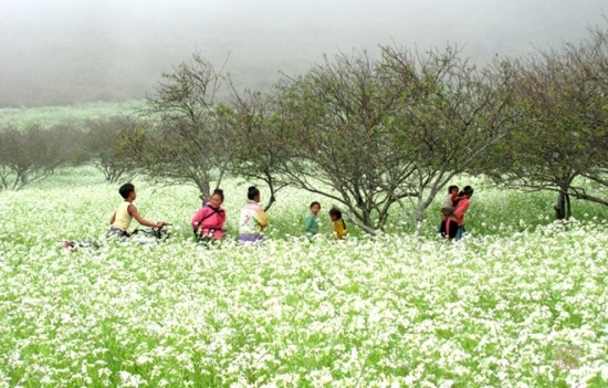 ban-thung-cuong-02