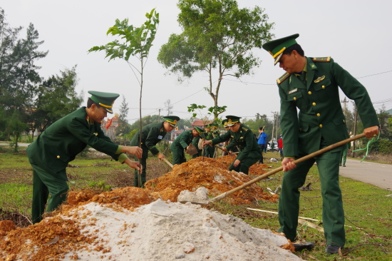 bdbp-quang-tri-thamgia-trong-cay