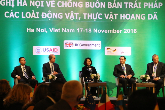 buon-ban-dong-vat-hoang-da-023