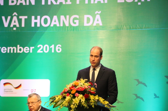 buon-ban-dong-vat-hoang-da-104